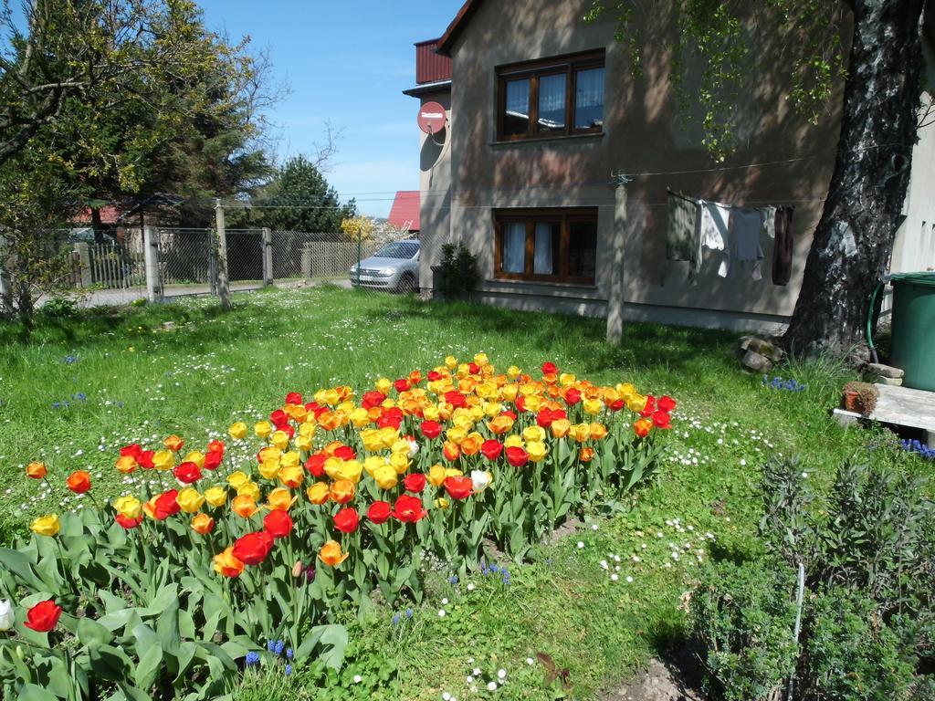 Ferienwohnung Wawrok Pirna Extérieur photo