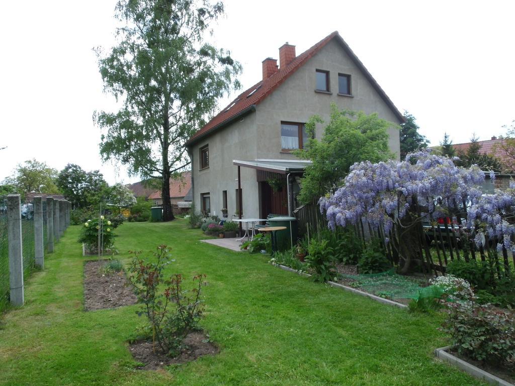 Ferienwohnung Wawrok Pirna Extérieur photo